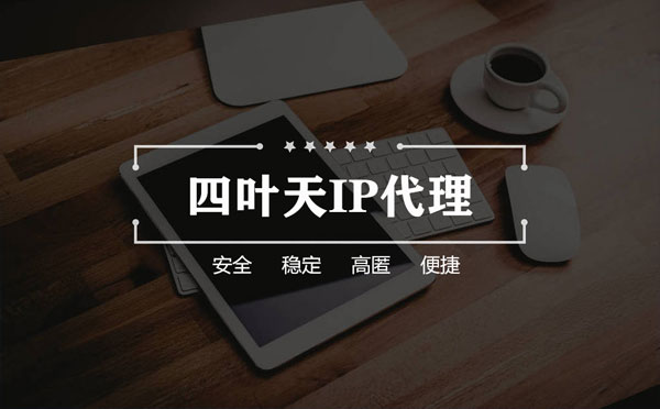 【上海代理IP】如何快速搭建代理IP？怎么检查代理的效果？